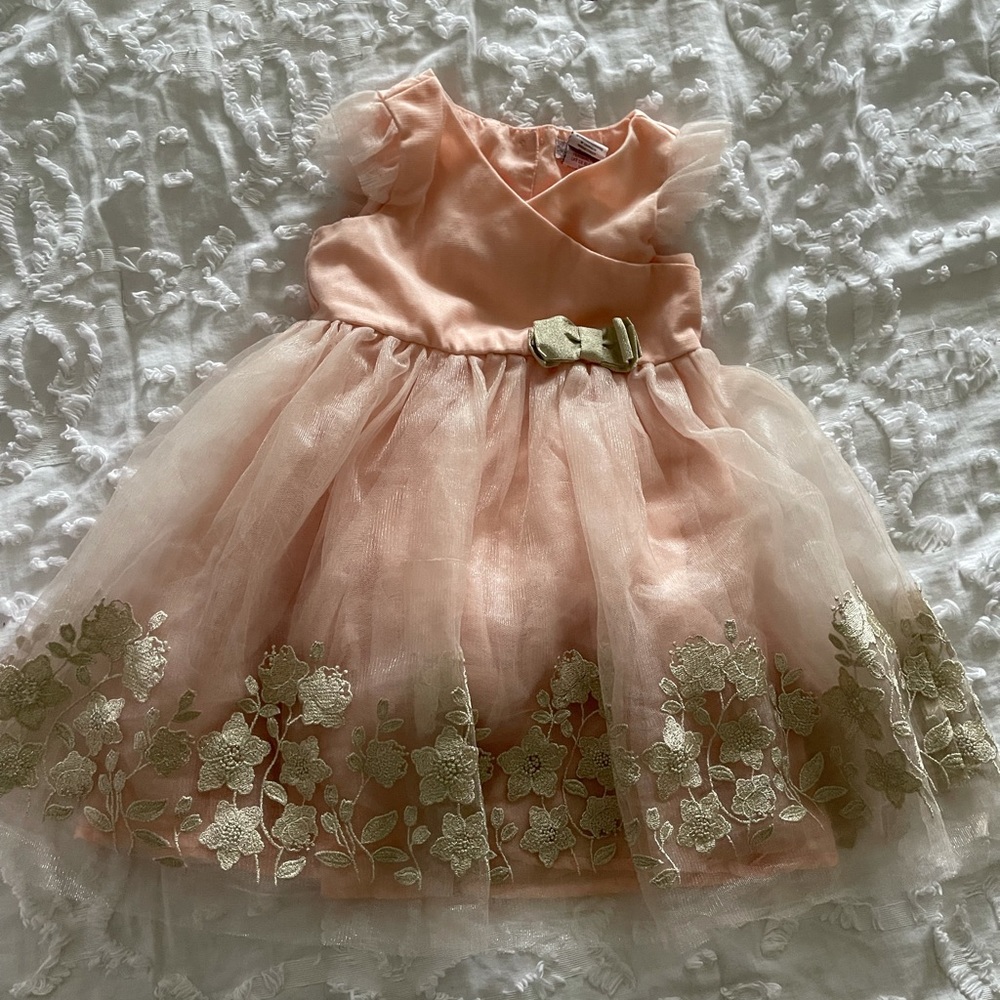 Toddler Girls fancy tulle dress
